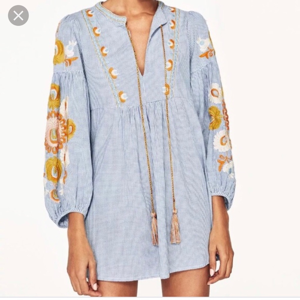 Zara gingham embroidered dress